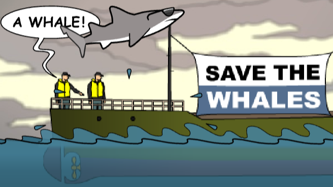 New York Shark Game