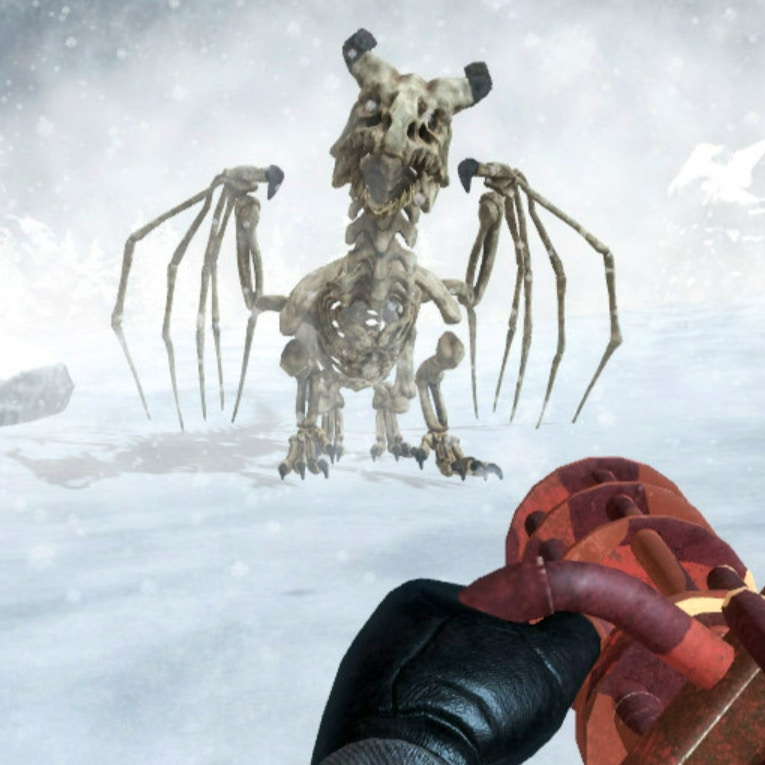 Dragon Slayer FPS Game