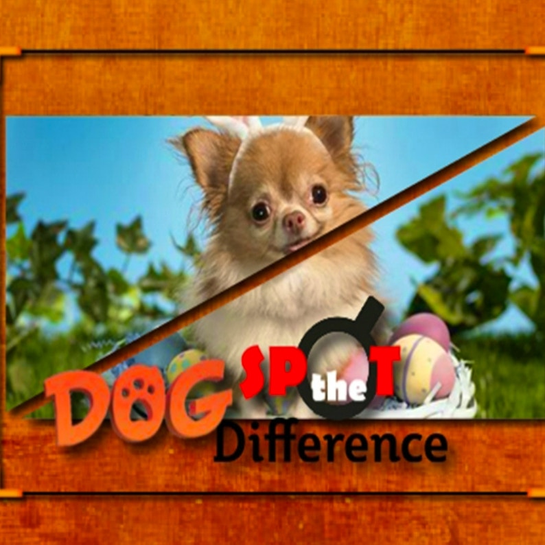 Dog Spot the Difference Game
