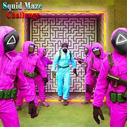 Squid Maze Challenge Game